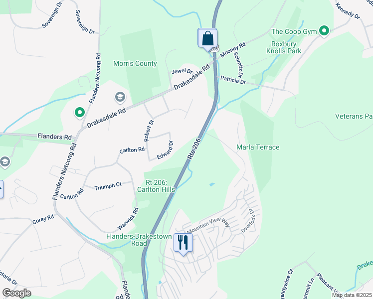 map of restaurants, bars, coffee shops, grocery stores, and more near 142 U.S. 206 in Mount Olive