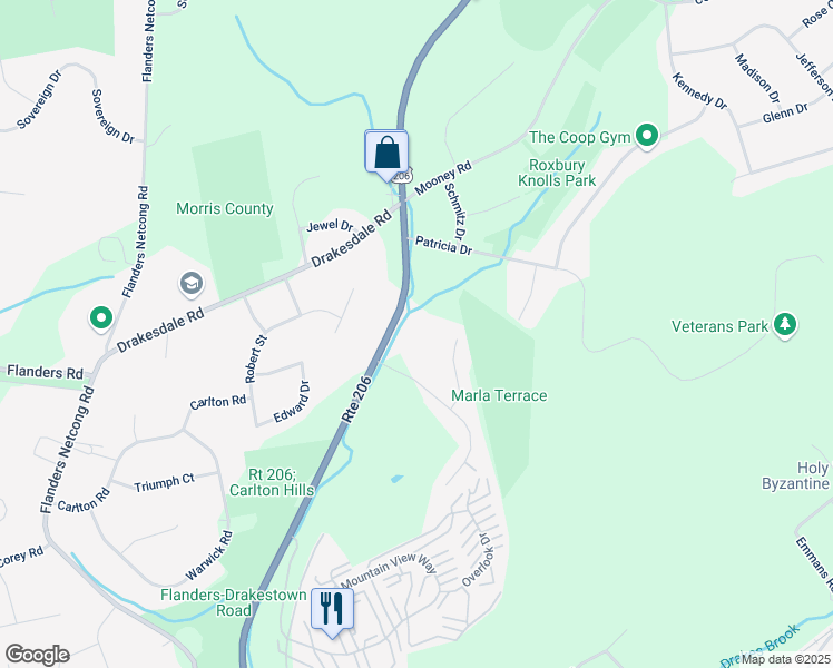 map of restaurants, bars, coffee shops, grocery stores, and more near 127 U.S. 206 in Mount Olive