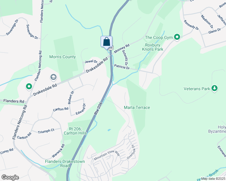 map of restaurants, bars, coffee shops, grocery stores, and more near 127 U.S. 206 in Mount Olive