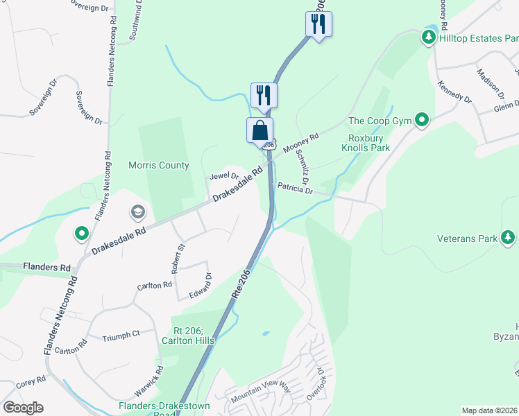 map of restaurants, bars, coffee shops, grocery stores, and more near 122 U.S. 206 in Mount Olive