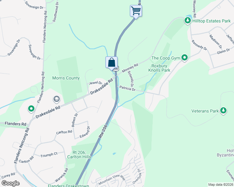 map of restaurants, bars, coffee shops, grocery stores, and more near 122 U.S. 206 in Mount Olive
