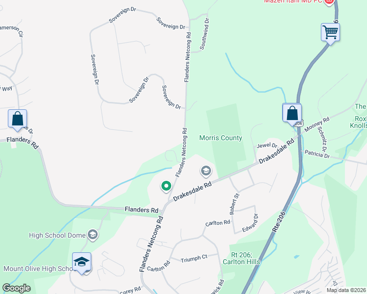 map of restaurants, bars, coffee shops, grocery stores, and more near 160 Flanders Netcong Road in Mount Olive