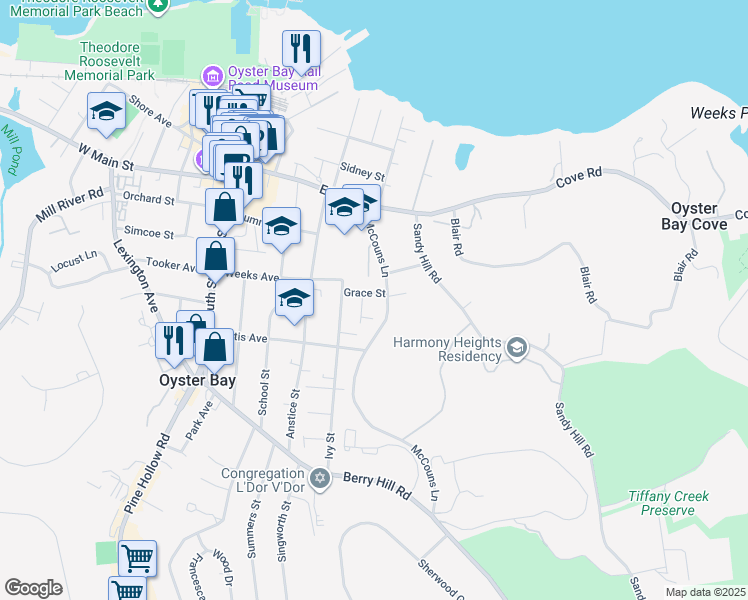 map of restaurants, bars, coffee shops, grocery stores, and more near 64 McCouns Lane in Oyster Bay