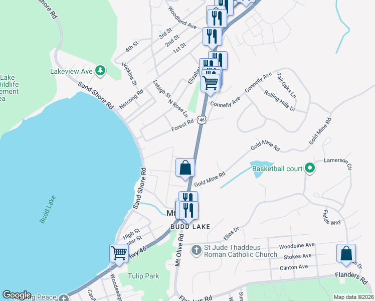map of restaurants, bars, coffee shops, grocery stores, and more near 181 U.S. 46 in Mount Olive