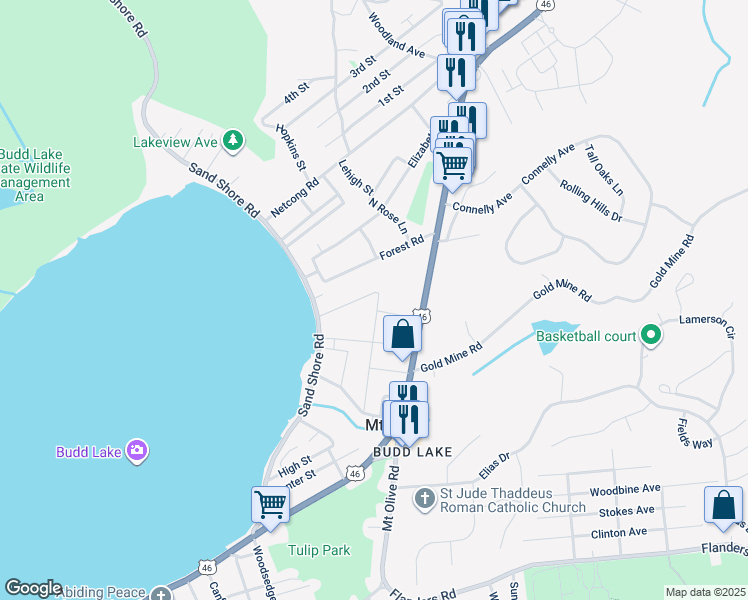 map of restaurants, bars, coffee shops, grocery stores, and more near 23 Budd Avenue in Mount Olive Township
