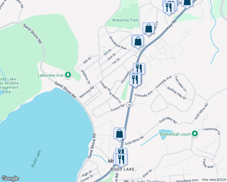 map of restaurants, bars, coffee shops, grocery stores, and more near 29 Elizabeth Lane in Mount Olive