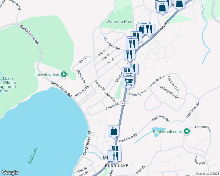 map of restaurants, bars, coffee shops, grocery stores, and more near 29 Elizabeth Lane in Mount Olive