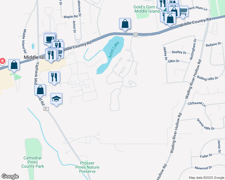 map of restaurants, bars, coffee shops, grocery stores, and more near 306 Lake Pointe Drive in Middle Island