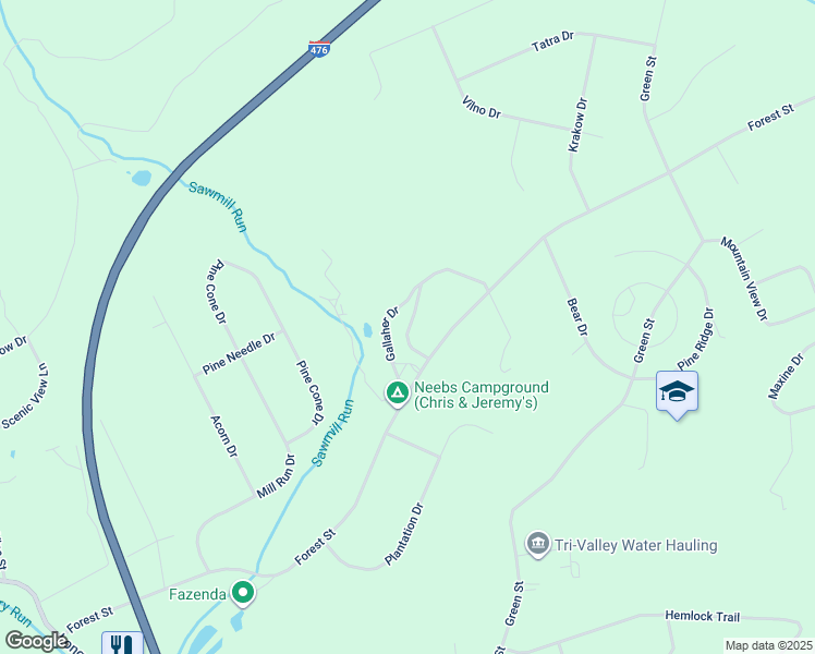 map of restaurants, bars, coffee shops, grocery stores, and more near 1074 Forest Street in Lehighton