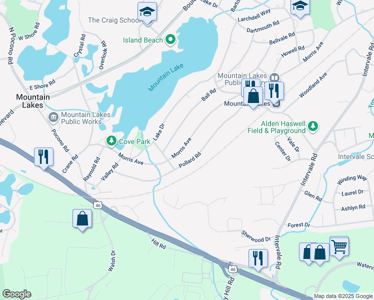 map of restaurants, bars, coffee shops, grocery stores, and more near 338 Morris Avenue in Mountain Lakes