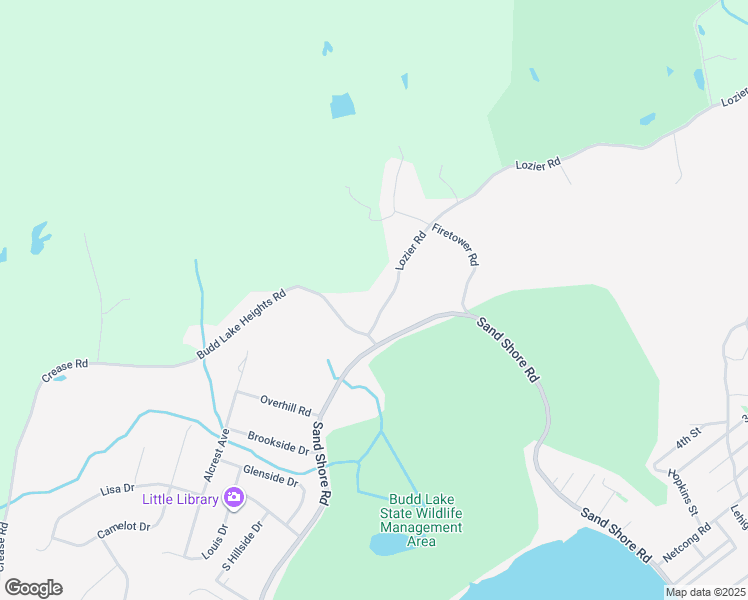 map of restaurants, bars, coffee shops, grocery stores, and more near 12 Lozier Road in Mount Olive Township