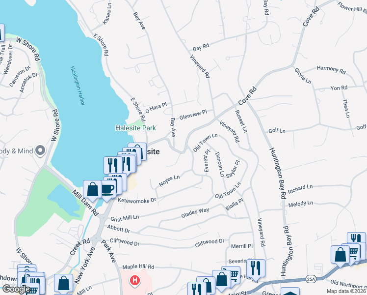 map of restaurants, bars, coffee shops, grocery stores, and more near 53 Old Town Lane in Halesite