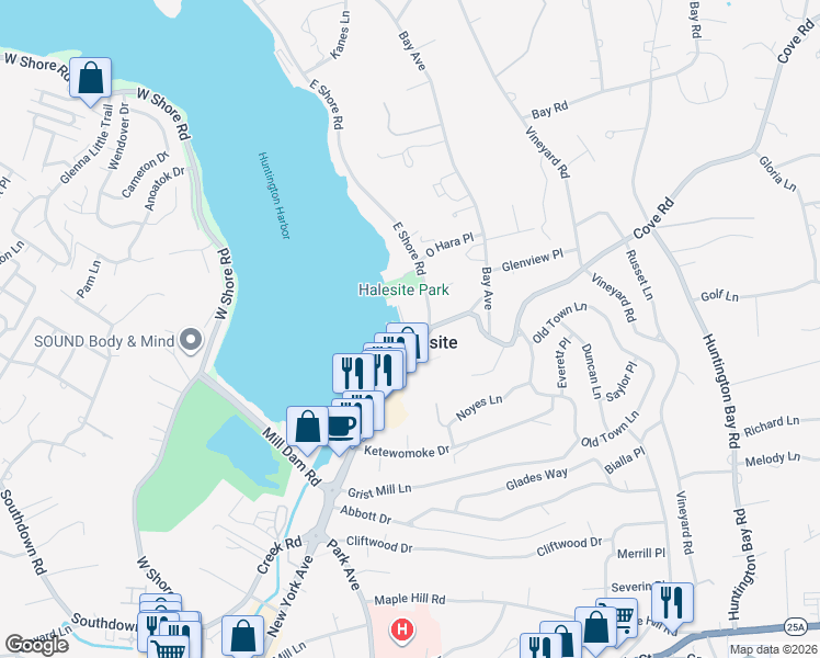 map of restaurants, bars, coffee shops, grocery stores, and more near in Halesite
