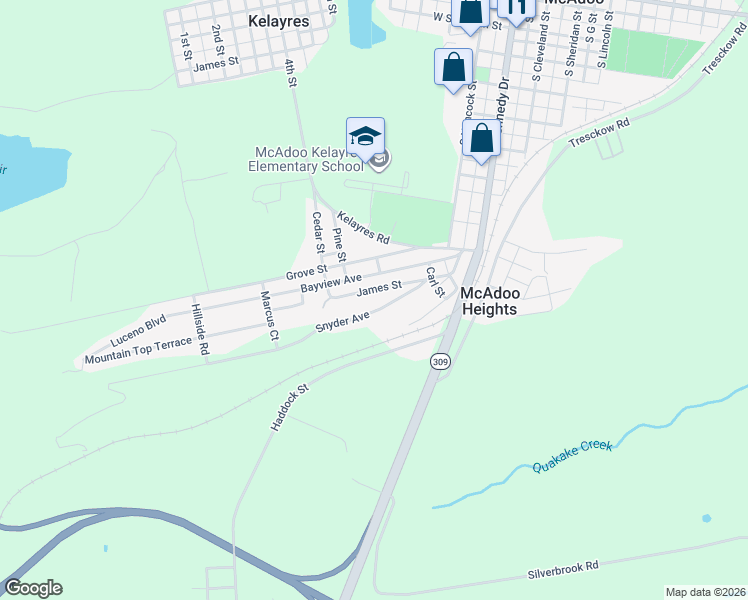 map of restaurants, bars, coffee shops, grocery stores, and more near 115 Snyder Avenue in McAdoo