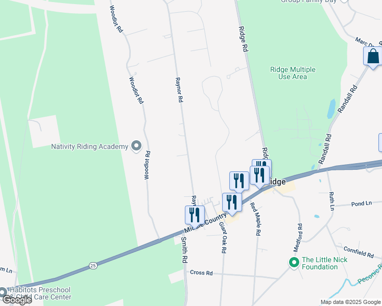 map of restaurants, bars, coffee shops, grocery stores, and more near 49 Raynor Road in Ridge