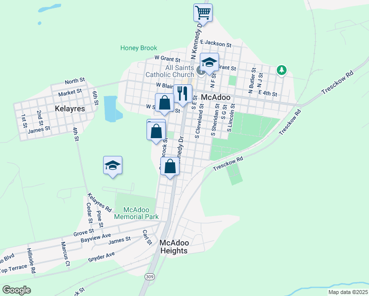 map of restaurants, bars, coffee shops, grocery stores, and more near 319 South Kennedy Drive in McAdoo
