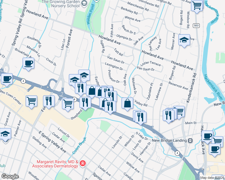 map of restaurants, bars, coffee shops, grocery stores, and more near 229 Princeton Drive in River Edge