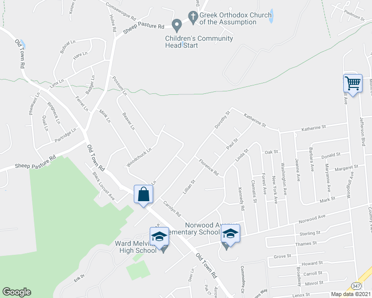 map of restaurants, bars, coffee shops, grocery stores, and more near 30 Bunny Lane in Setauket- East Setauket