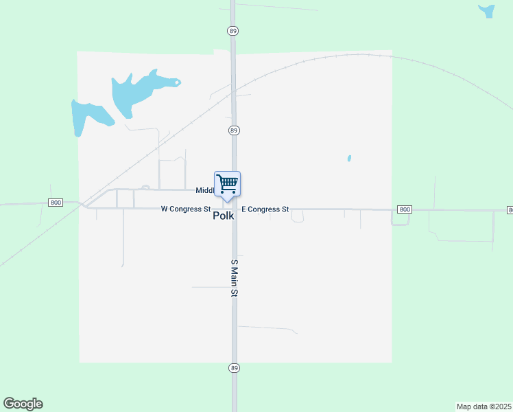 map of restaurants, bars, coffee shops, grocery stores, and more near 207 East Congress Street in Polk