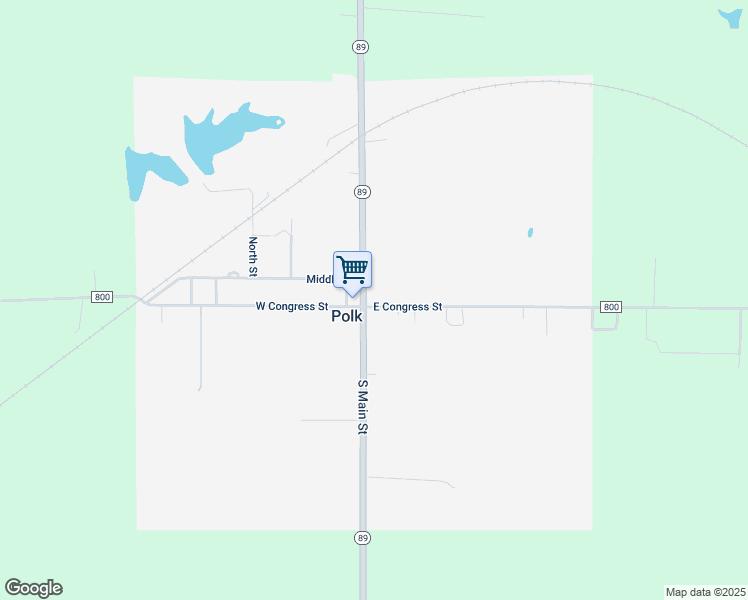 map of restaurants, bars, coffee shops, grocery stores, and more near 207 East Congress Street in Polk