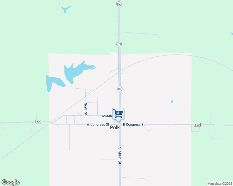 map of restaurants, bars, coffee shops, grocery stores, and more near 441 North Main Street in Polk