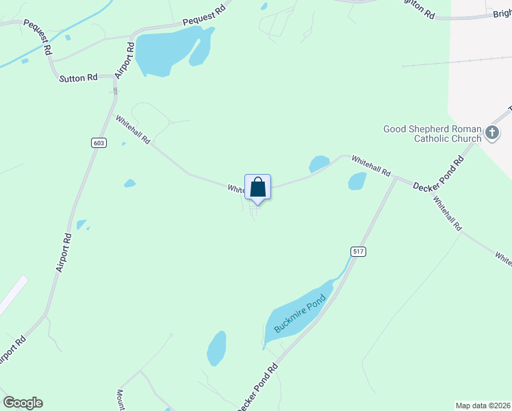 map of restaurants, bars, coffee shops, grocery stores, and more near 58 Whitehall Road in Green Township