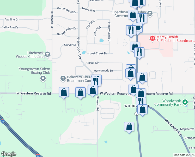 map of restaurants, bars, coffee shops, grocery stores, and more near 169 Runnemede Drive in Youngstown