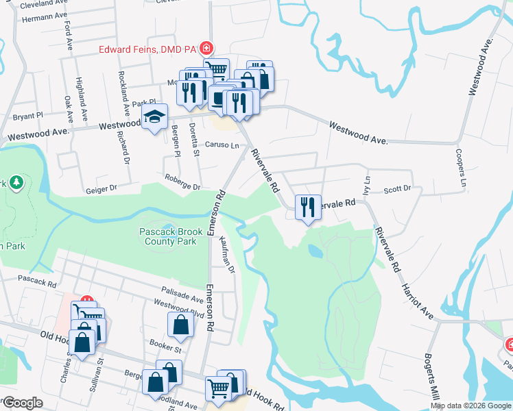 map of restaurants, bars, coffee shops, grocery stores, and more near 135 Rivervale Road in River Vale