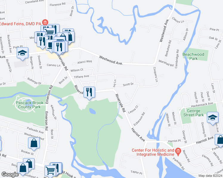 map of restaurants, bars, coffee shops, grocery stores, and more near 63 Rivervale Road in River Vale