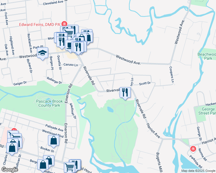 map of restaurants, bars, coffee shops, grocery stores, and more near 96 Rivervale Road in River Vale