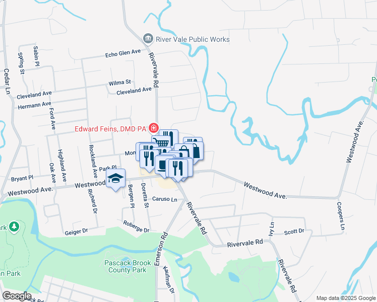 map of restaurants, bars, coffee shops, grocery stores, and more near 271 Peters Place in River Vale