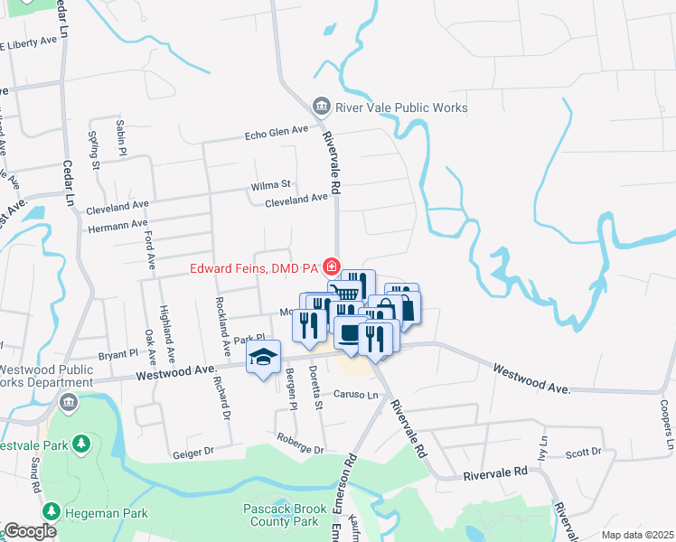 map of restaurants, bars, coffee shops, grocery stores, and more near 250 Rivervale Road in River Vale