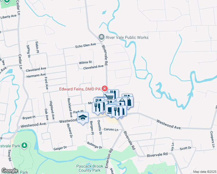 map of restaurants, bars, coffee shops, grocery stores, and more near 250 Rivervale Road in River Vale