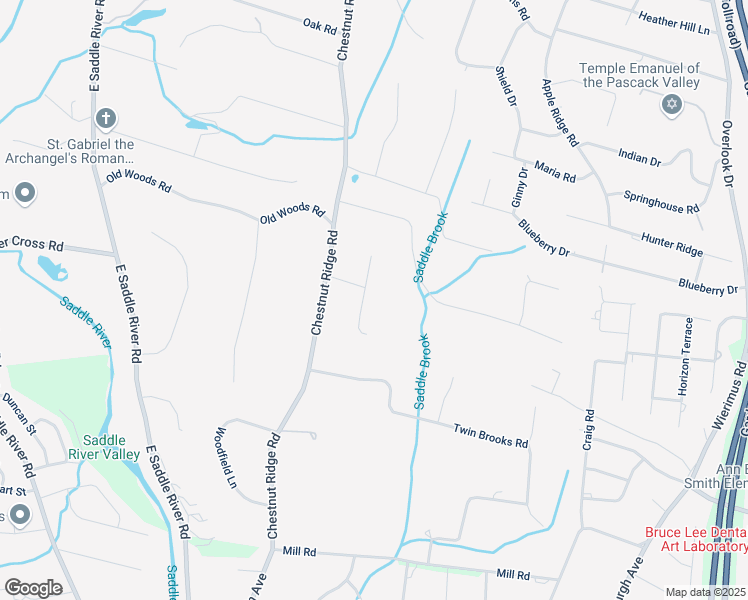 map of restaurants, bars, coffee shops, grocery stores, and more near 6 Lookout Drive in Saddle River