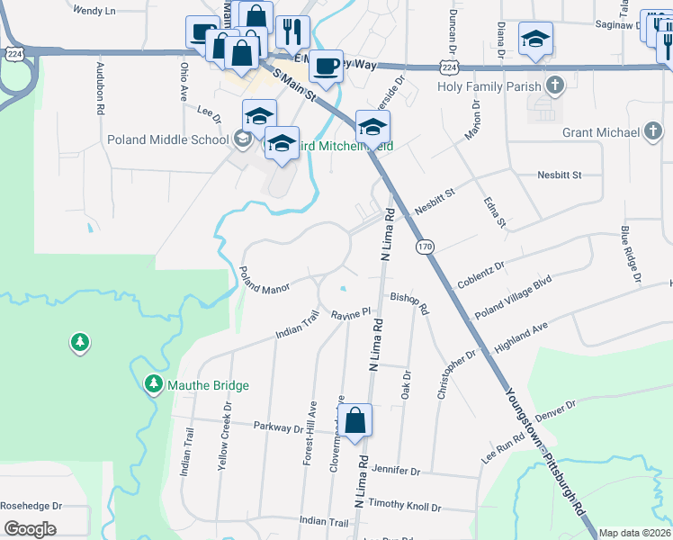 map of restaurants, bars, coffee shops, grocery stores, and more near 95 Poland Manor in Youngstown