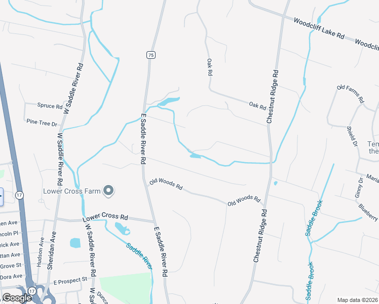 map of restaurants, bars, coffee shops, grocery stores, and more near 9 West Church Road in Saddle River