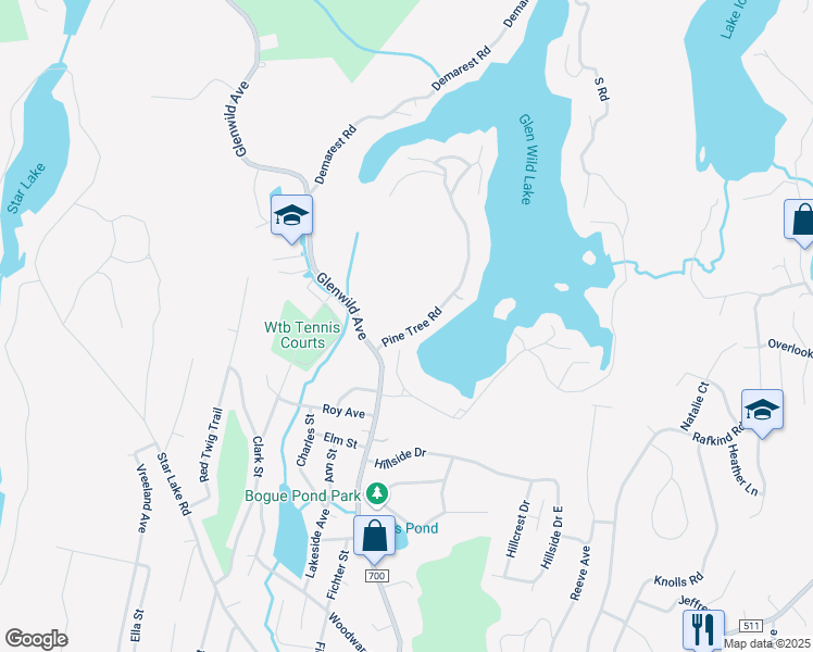 map of restaurants, bars, coffee shops, grocery stores, and more near 141 Pine Tree Rd in Bloomingdale