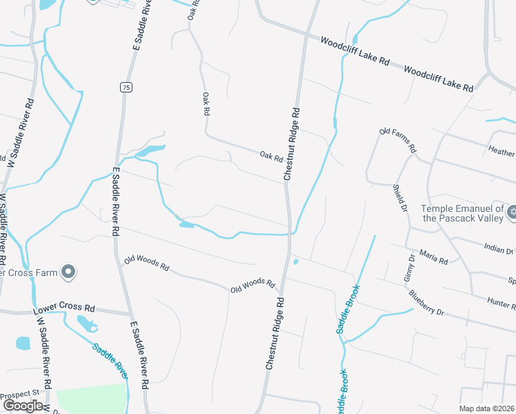 map of restaurants, bars, coffee shops, grocery stores, and more near 29 North Church Road in Saddle River