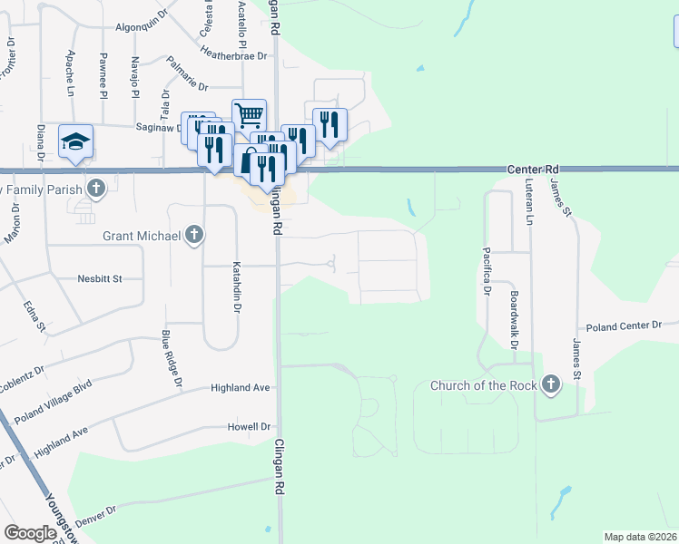 map of restaurants, bars, coffee shops, grocery stores, and more near 30 Roberto Place in Youngstown
