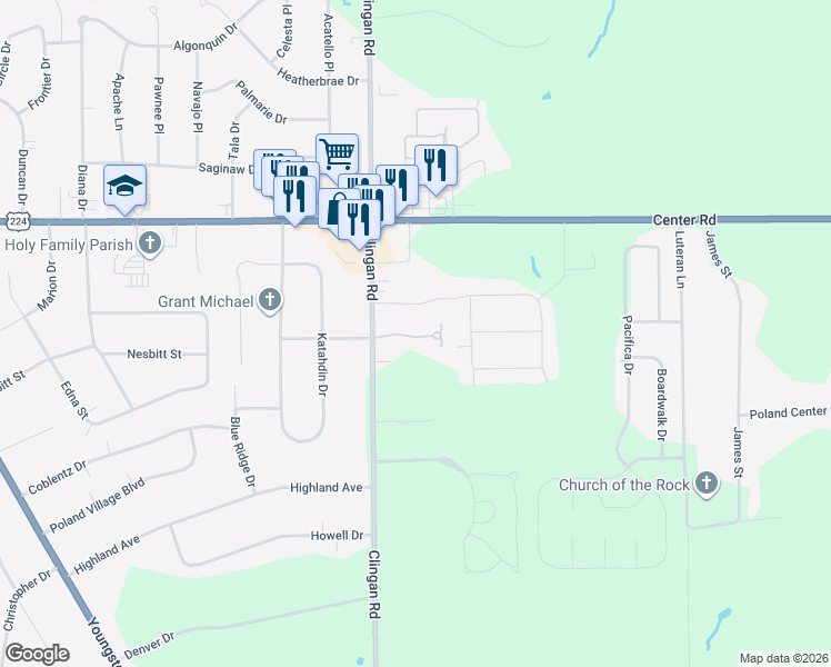 map of restaurants, bars, coffee shops, grocery stores, and more near 30 Roberto Place in Youngstown