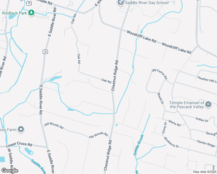 map of restaurants, bars, coffee shops, grocery stores, and more near 91 Chestnut Ridge Road in Saddle River