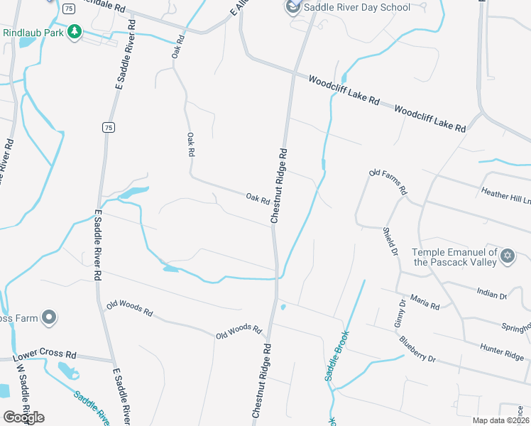 map of restaurants, bars, coffee shops, grocery stores, and more near 91 Chestnut Ridge Road in Saddle River