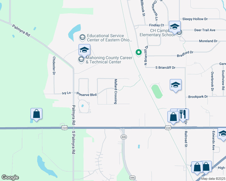 map of restaurants, bars, coffee shops, grocery stores, and more near 160 Preserve Boulevard in Canfield