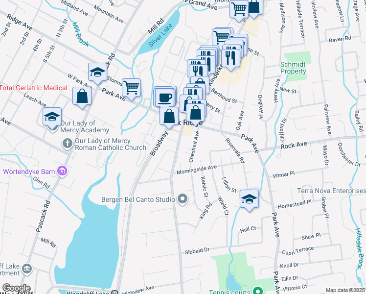 map of restaurants, bars, coffee shops, grocery stores, and more near 99 County Road 503 in Park Ridge