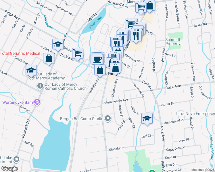 map of restaurants, bars, coffee shops, grocery stores, and more near 99 County Road 503 in Park Ridge