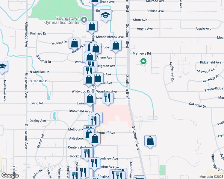map of restaurants, bars, coffee shops, grocery stores, and more near 58 Woodrow Avenue in Youngstown