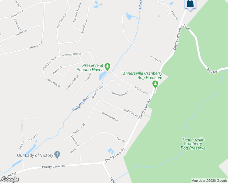 map of restaurants, bars, coffee shops, grocery stores, and more near 70 Wintergreen Circle in East Stroudsburg