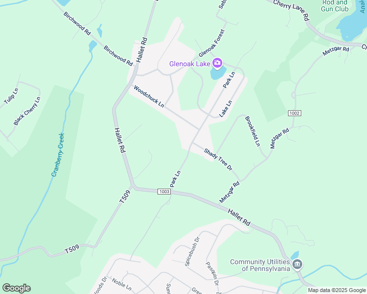 map of restaurants, bars, coffee shops, grocery stores, and more near 6-8 Park Lane in East Stroudsburg
