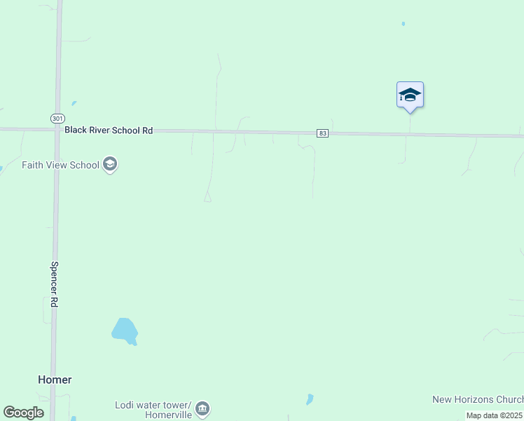 map of restaurants, bars, coffee shops, grocery stores, and more near 11664 Black River School Road in Homerville