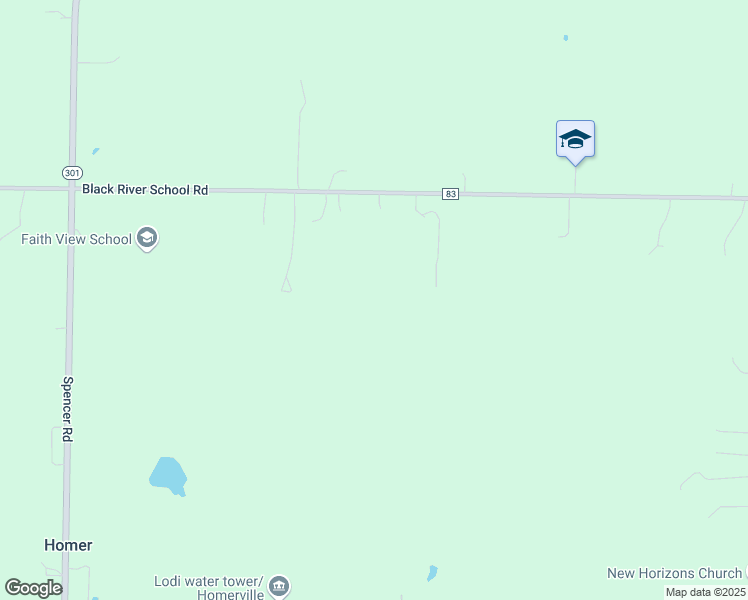 map of restaurants, bars, coffee shops, grocery stores, and more near 11664 Black River School Road in Homerville